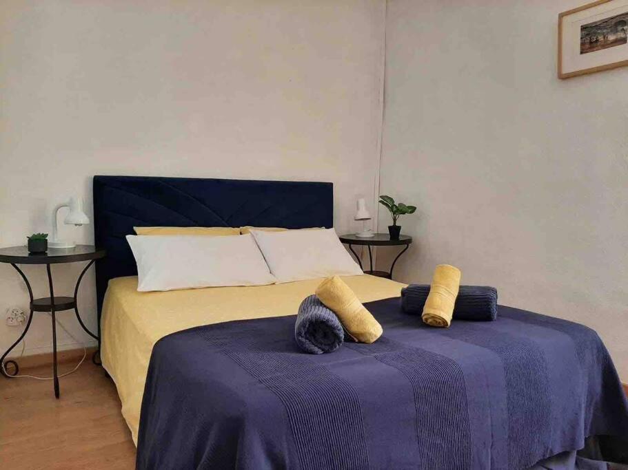 Saint-Thibéry Historic French Townhouse 빌라 외부 사진