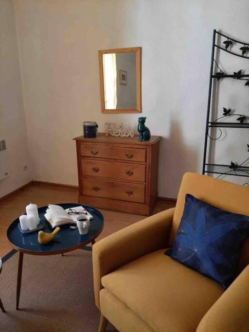 Saint-Thibéry Historic French Townhouse 빌라 외부 사진