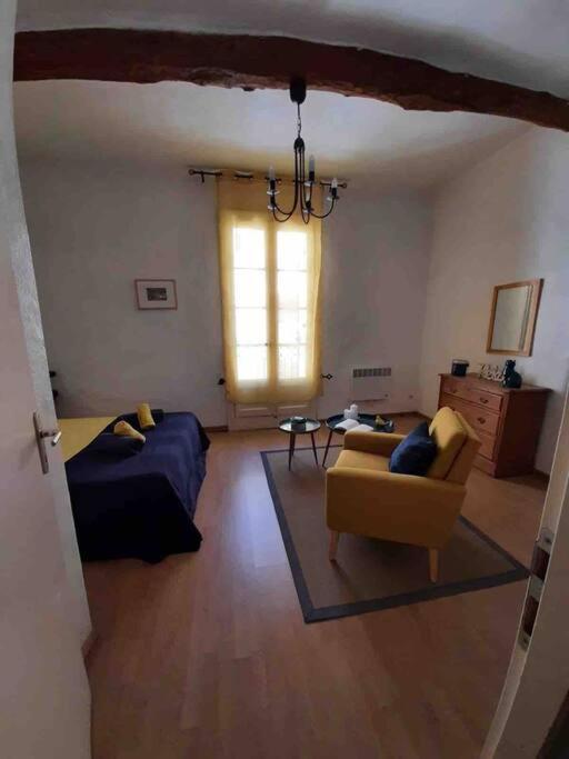 Saint-Thibéry Historic French Townhouse 빌라 외부 사진